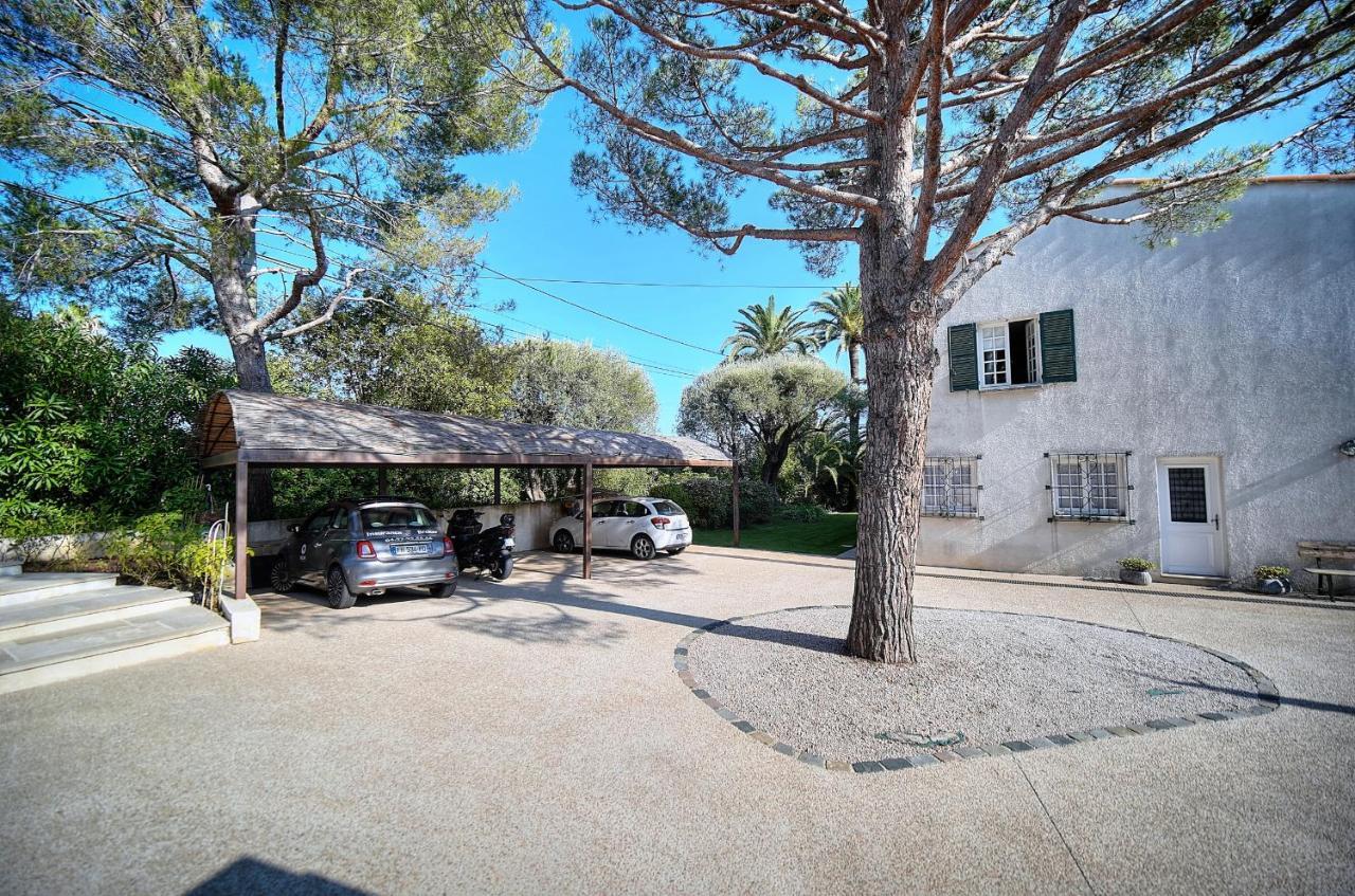 Leader Large Contemporary With Luxurious Design, Pool And View